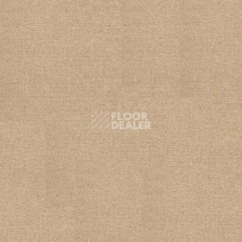 Ковролин Radici Abetone Grema 4484 фото 1 | FLOORDEALER